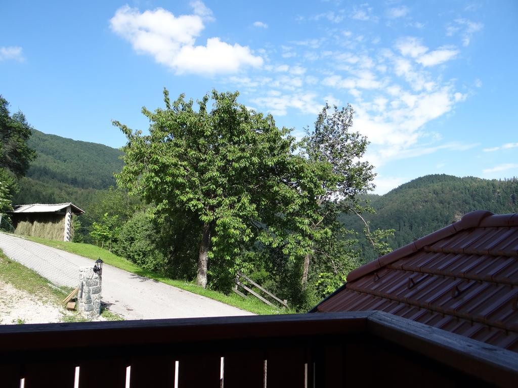 Trebusak