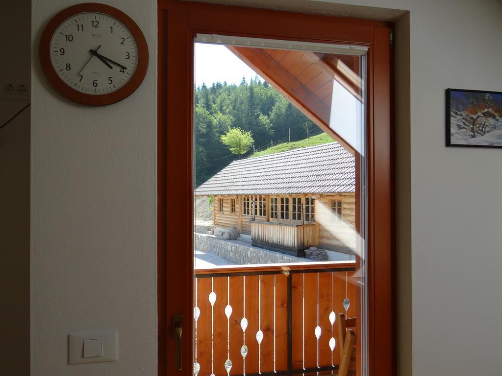 Apartment Trebusak Laze v Tuhinju